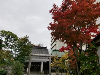 ファイル名: CIMG1073.jpg
ファイルサイズ: 20.8KB CIMG1073