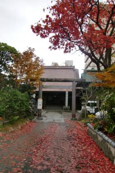 ファイル名: CIMG1617.jpg
ファイルサイズ: 22.6KB CIMG1617