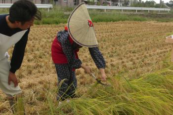 ファイル名: CIMG2895.jpg
ファイルサイズ: 19.5KB CIMG2895