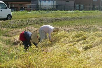 ファイル名: CIMG8981.jpg
ファイルサイズ: 22KB CIMG8981