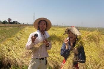 ファイル名: CIMG8985.jpg
ファイルサイズ: 16.8KB CIMG8985