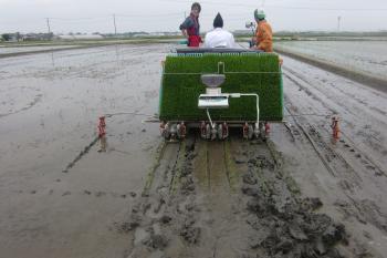 ファイル名: CIMG9179.jpg
ファイルサイズ: 14.1KB CIMG9179
